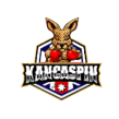 KangaSpin